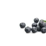 Quercetin Phytosome