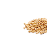 Glucosamine Sulphate