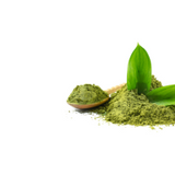 Green Tea Extract (45-50% EGCG)