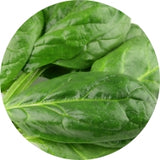 Coenzyme Q10 (CoQ10)