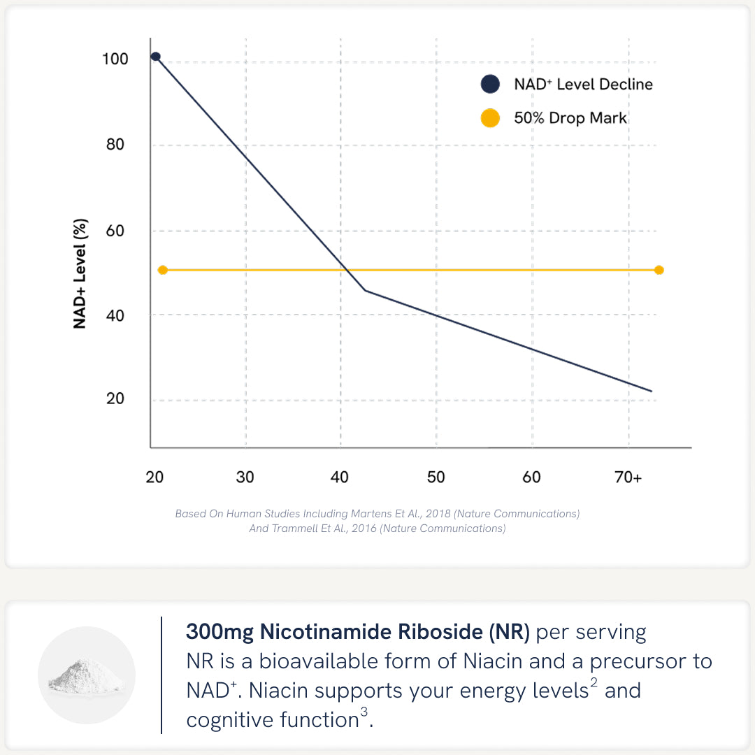 It supports clean, steady energy with an NAD⁺ precursor